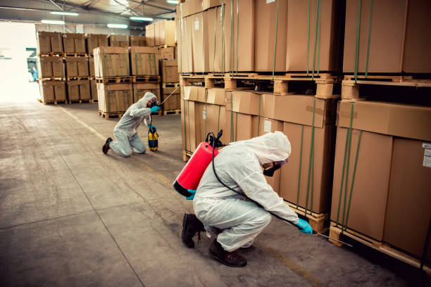 Reliable Larchmont, NY Pest Control Solutions