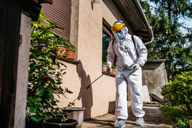 Best Exterminator Services  in Larchmont, NY