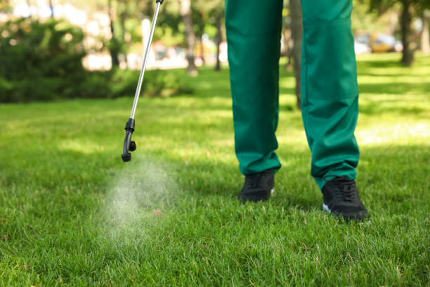 Best Affordable Pest Control Services  in Larchmont, NY